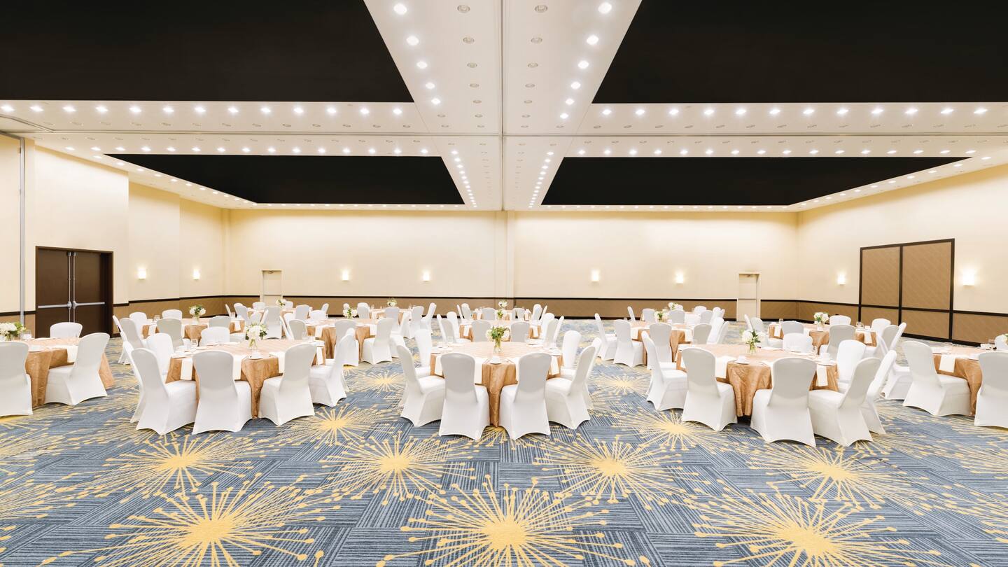 hilton-garden-inn-fargo-iris-lilac-meeting-rooms-1034337